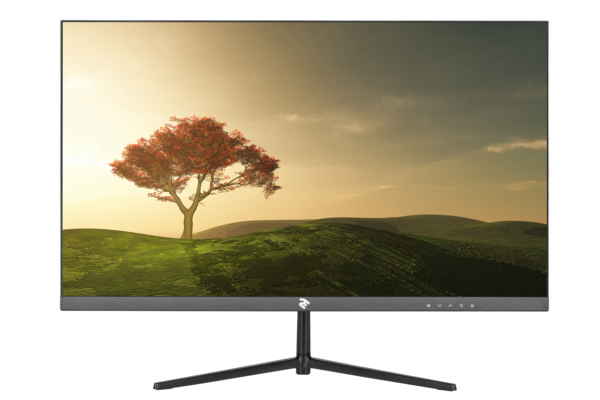 Монитор 2E D2419B Black