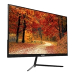 Монитор 2E D2421B Black