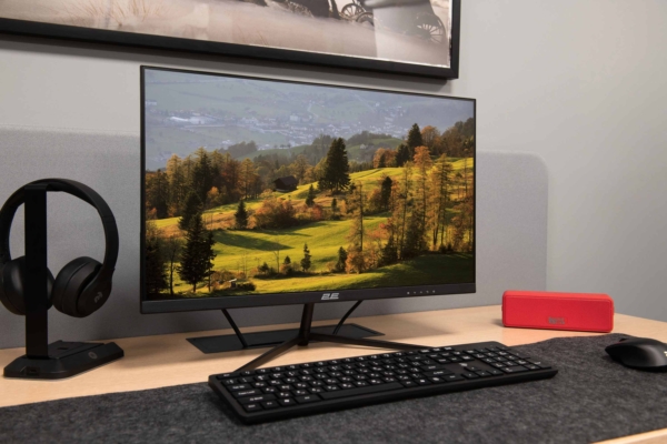 Монитор 2E D2421B Black