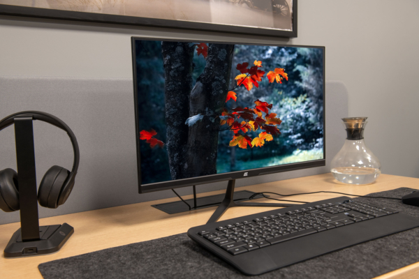 Монитор 2E C2420B Black