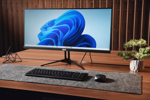 Monitor 2E D2923B Black