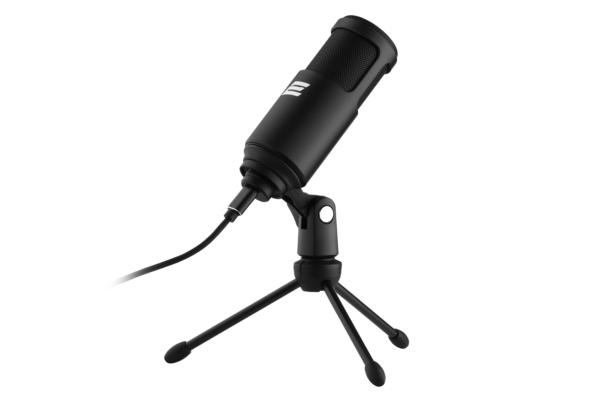 2Е MPC010 PC Microphone, USB