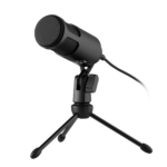 2Е MPC010 PC Microphone, USB