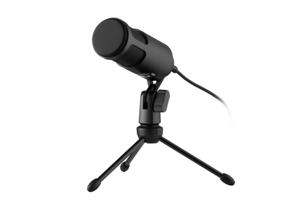 2Е MPC010 PC Microphone, USB