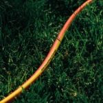 Шланг садовый 2Е AquaFlex Orange 1/2″ 15м 4 слоя 20бар -10…+60°C