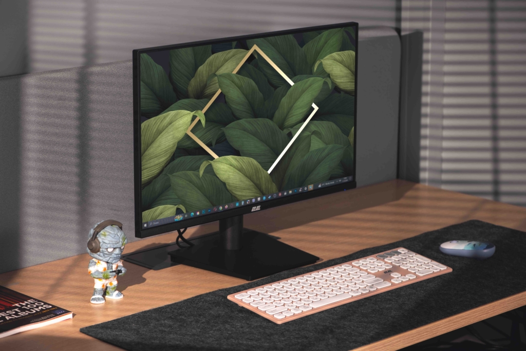 2E Монитор 23.8″ B2424B D-Sub, HDMI, VA, 100Hz, FreeSync