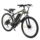 Electrobike 2E EB35 27,5″, green-black