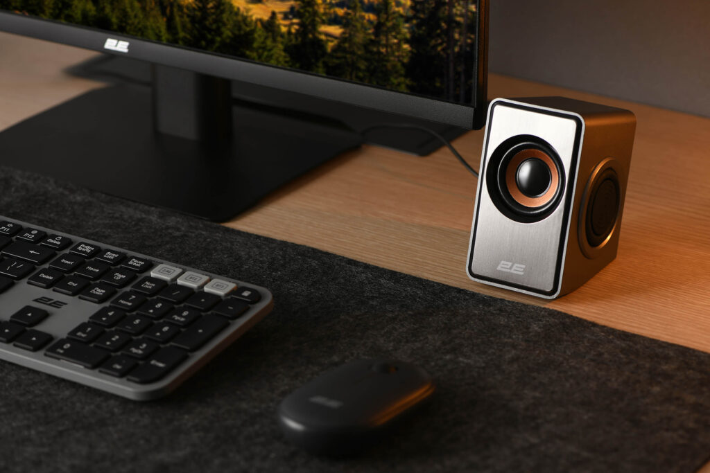 Multimedia speaker 2E PCS204, 2.0, USB, Silver