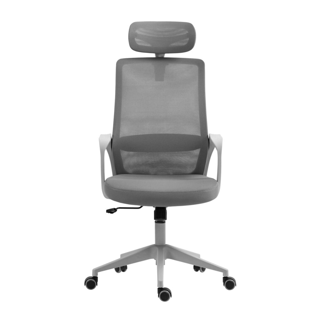 2E Office Chair OC120, fabric, fixed armrests, headrest, gray