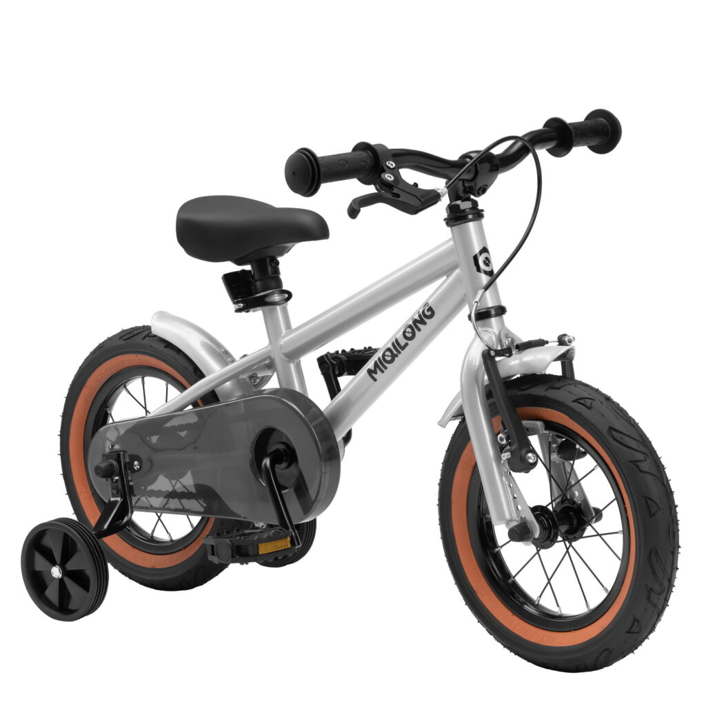 Bicycle RBB-ST12-SILVER