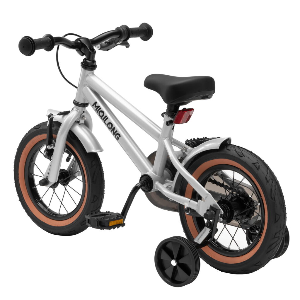 Bicycle RBB-ST12-SILVER