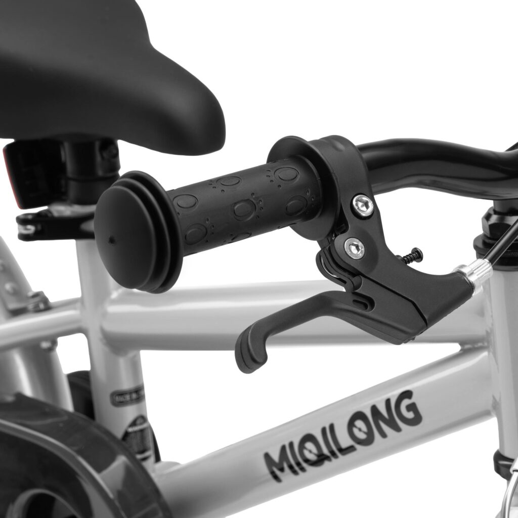 Bicycle RBB-ST12-SILVER