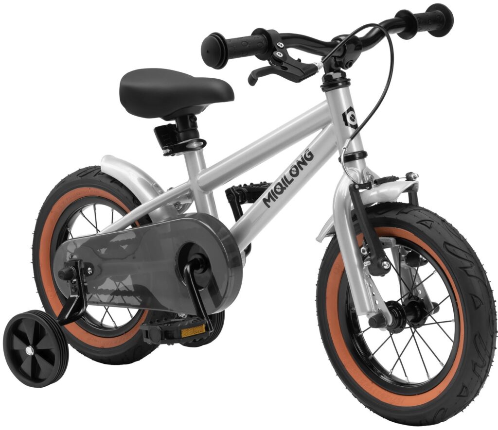 Bicycle RBB-ST12-SILVER