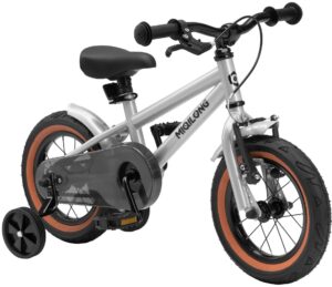 Bicycle RBB-ST12-SILVER