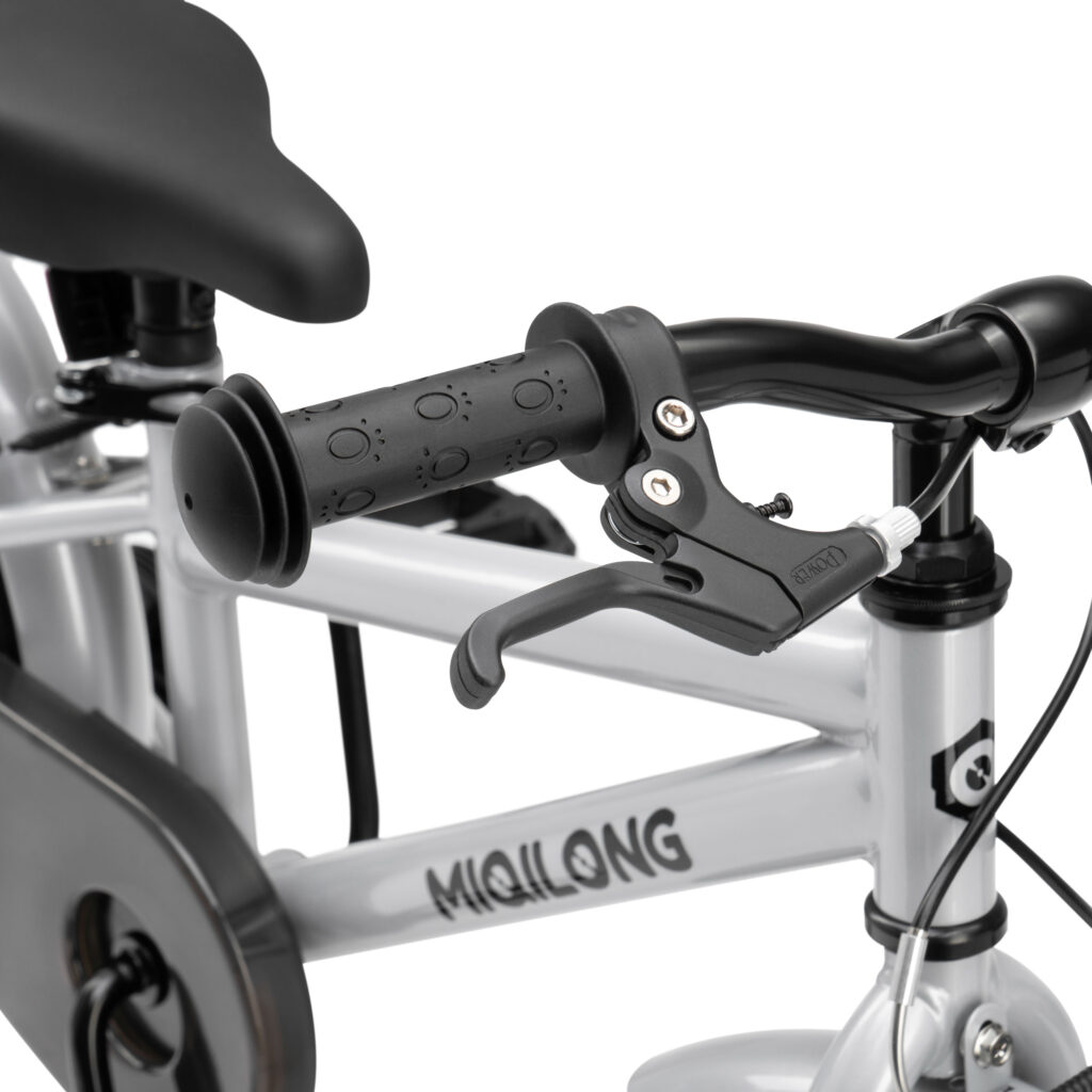 Bicycle RBB-ST16-SILVER