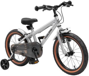 Bicycle RBB-ST16-SILVER