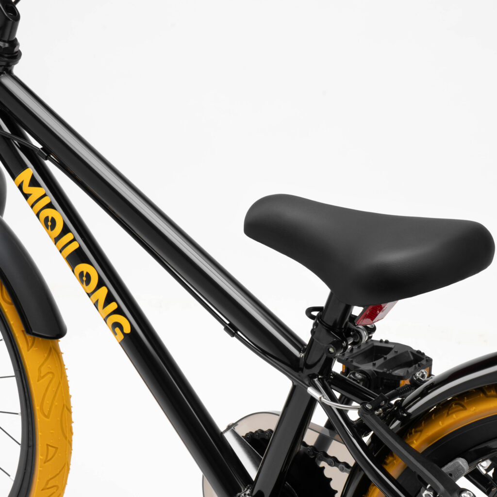 Bicycle RBB-ST20-BLACK