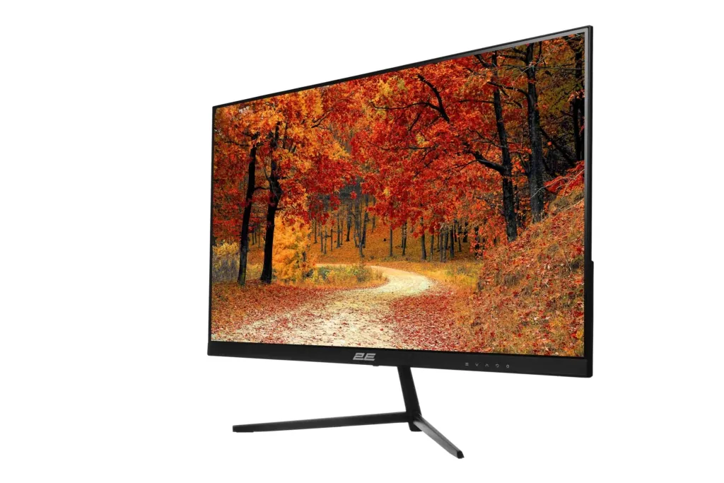 Monitor 2E D2421B Black