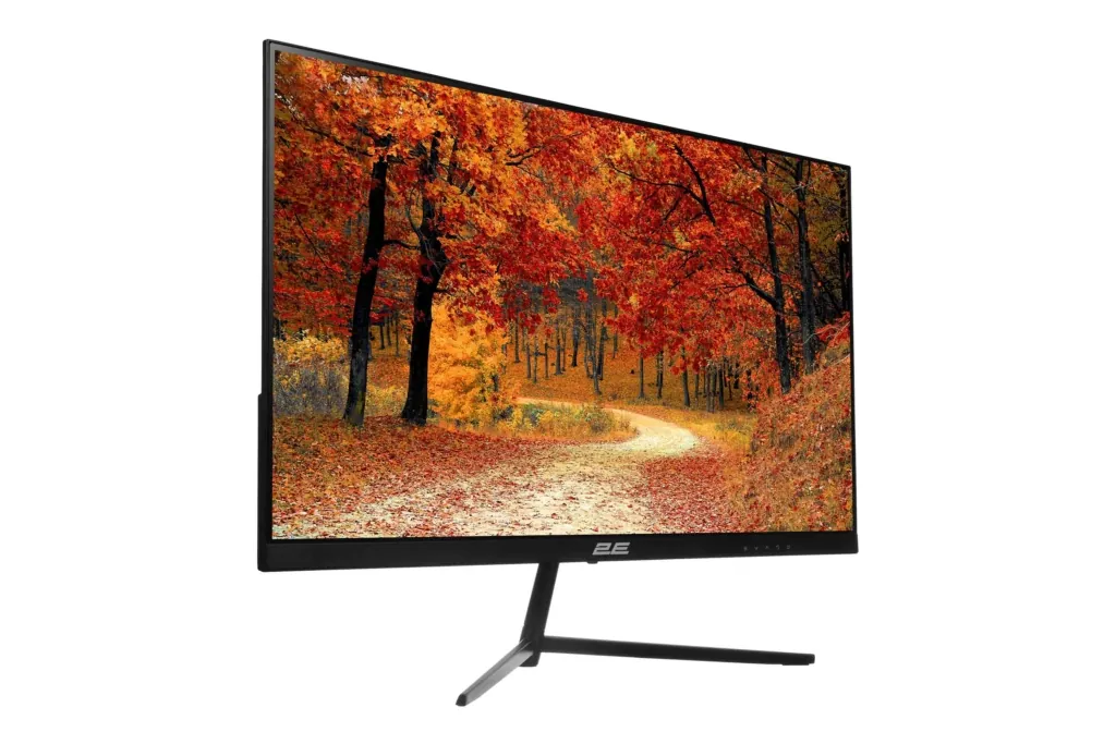 Monitor 2E D2421B Black