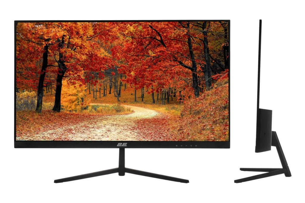 Monitor 2E D2421B Black