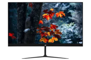 Монитор 2E C2420B Black